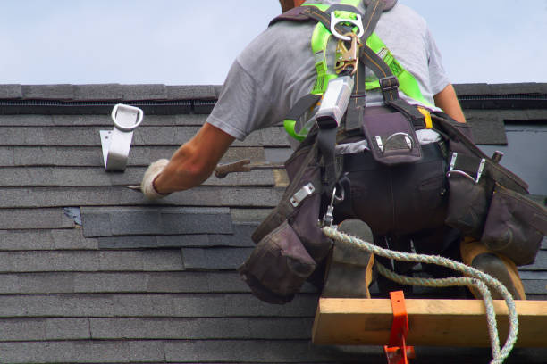 Best Roof Gutter Cleaning  in Richardson, TX