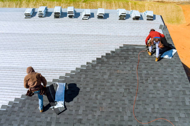 Roof Gutter Cleaning in Richardson, TX