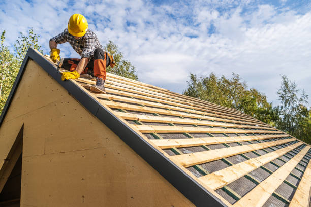 Best Roof Gutter Cleaning  in Richardson, TX